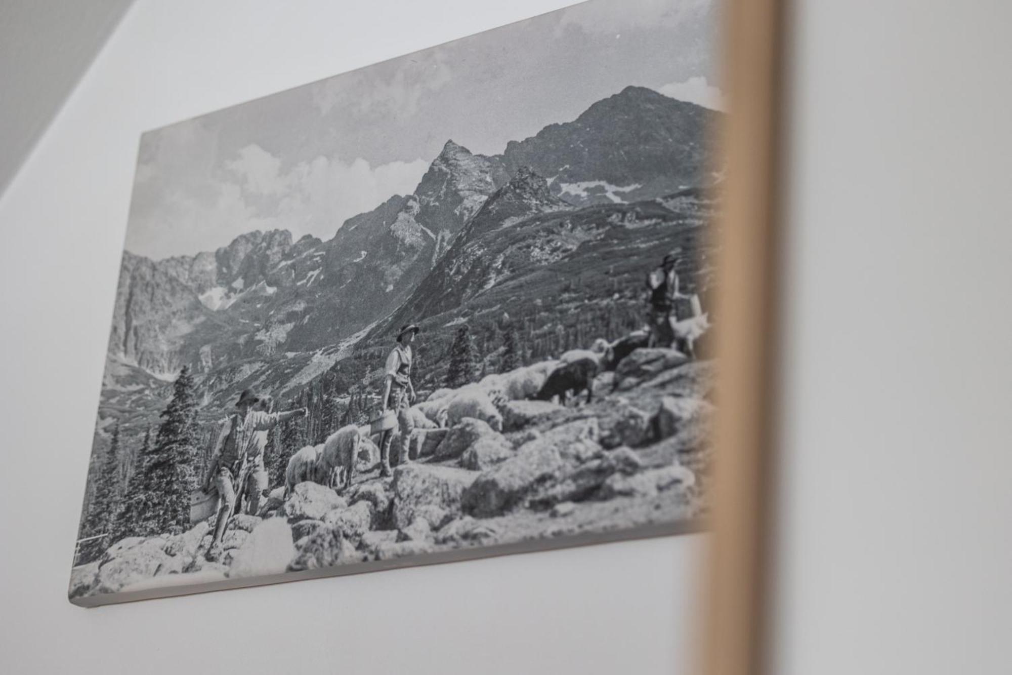 Pokoje Na Rowni Zakopane Dış mekan fotoğraf